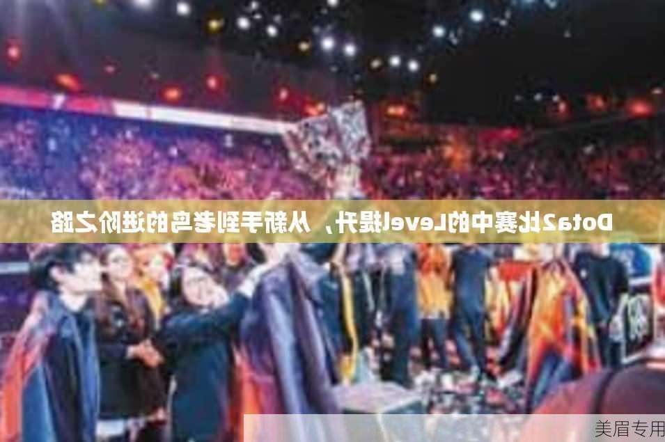 Dota2比赛中的Level提升，从新手到老鸟的进阶之路